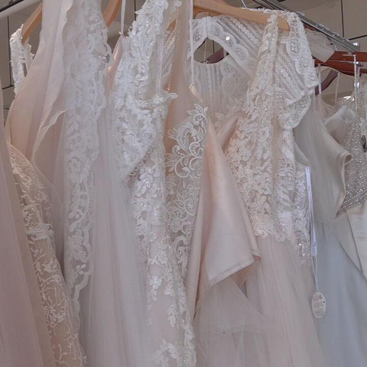 Wedding dresses inside Sophia's Bridal.jpeg
